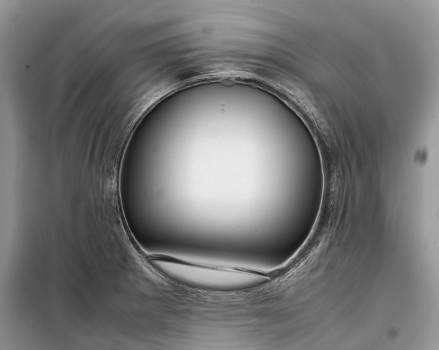 X0000099311281200805161404