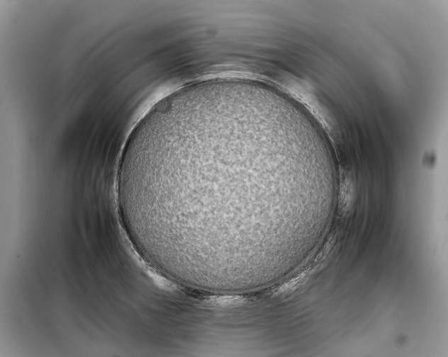 X0000099311282200805161404