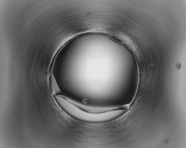 X0000099311284200805161404