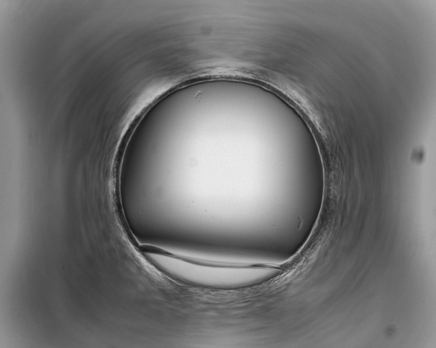 X0000099311285200805161404