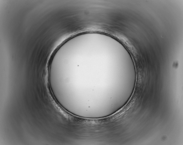 X0000099311286200805161404