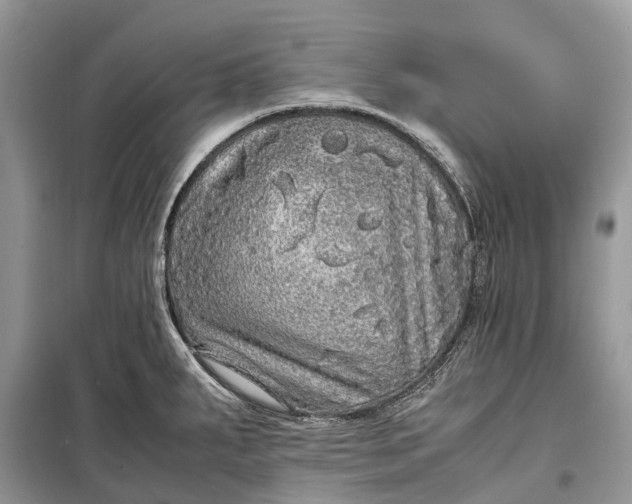 X0000099311287200805161404