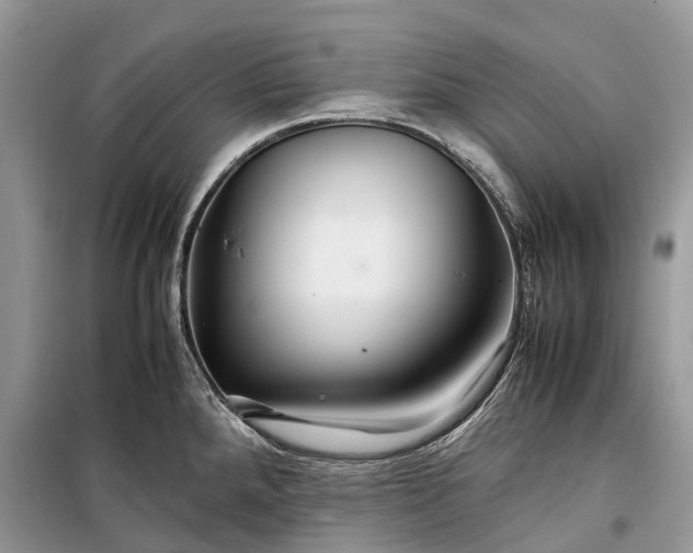 X0000099311288200805161404