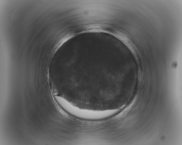 X0000099311289200805161404