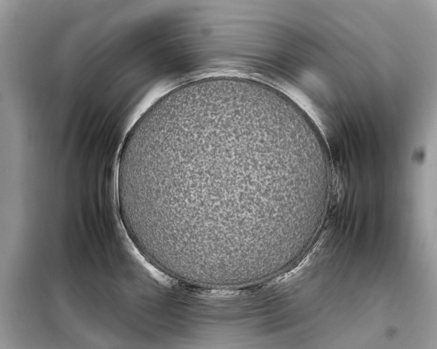 X0000099311290200805161404