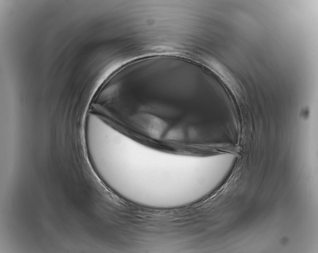 X0000099311291200805161404