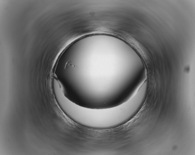 X0000099311292200805161404