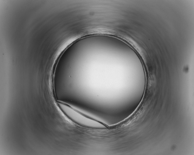 X0000099311293200805161404