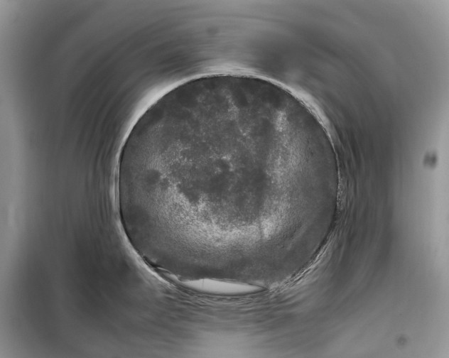 X0000099311295200805161404