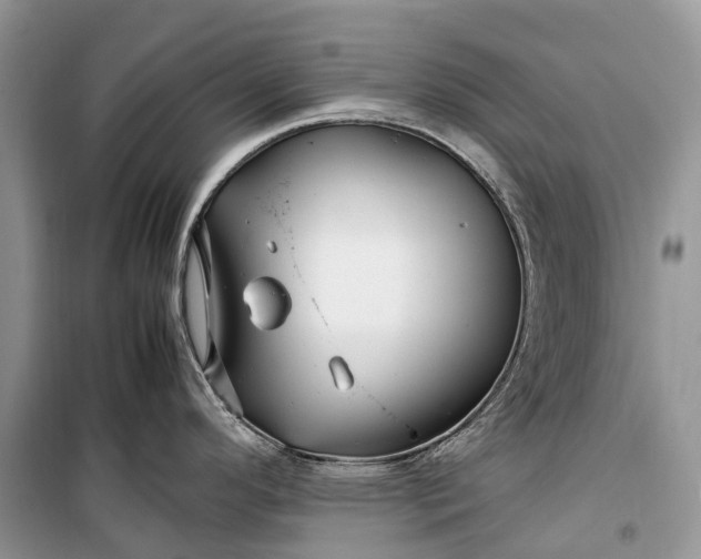 X0000099311296200805161404