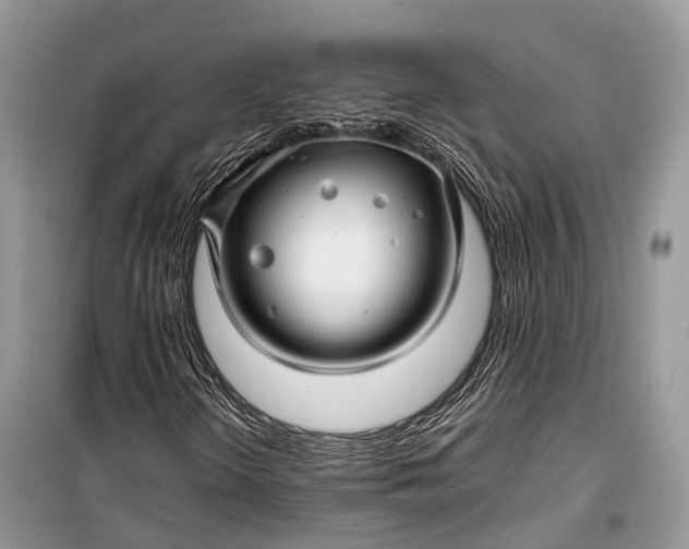 X0000099311298200805161403