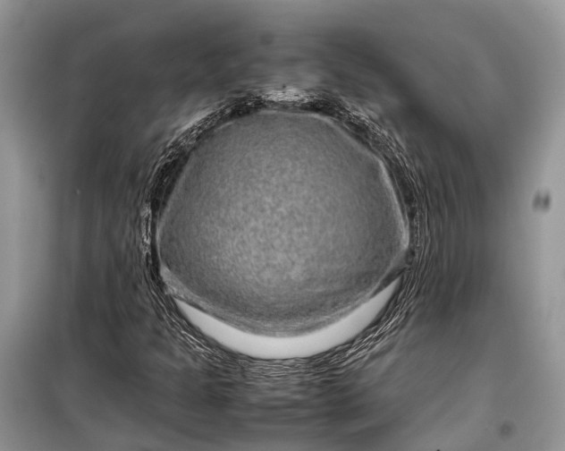 X0000099311301200805161403