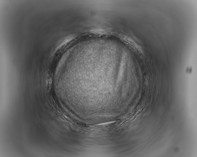 X0000099311302200805161403