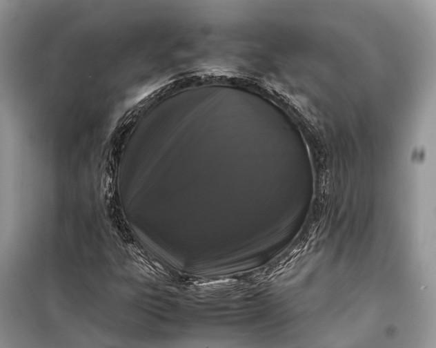 X0000099311303200805161403