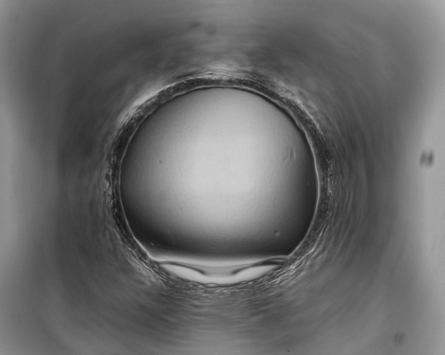 X0000099311304200805161403