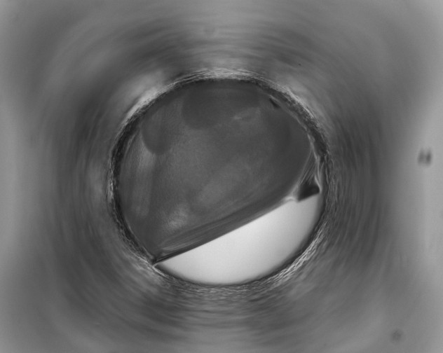 X0000099311306200805161403