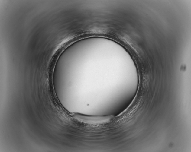 X0000099311307200805161403