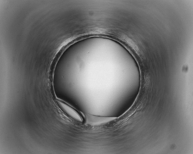 X0000099311308200805161403