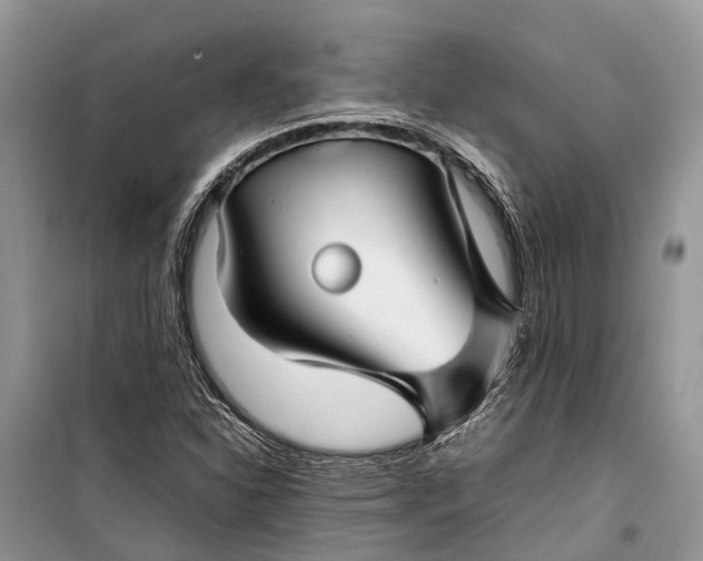 X0000099311310200805161403