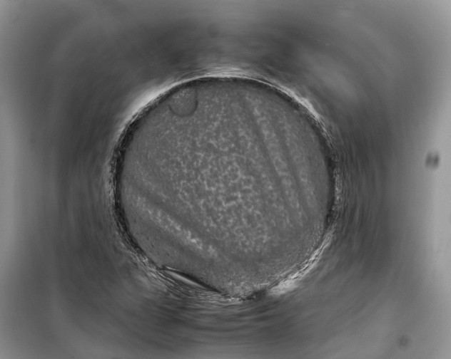 X0000099311311200805161403