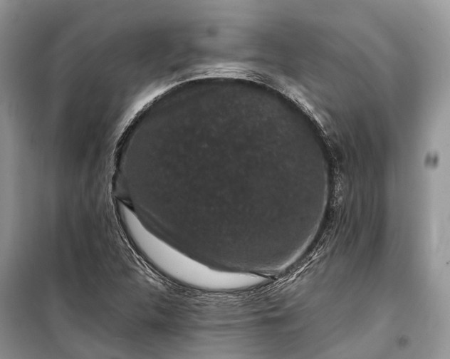 X0000099311312200805161403