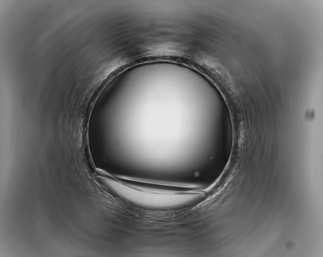 X0000099311313200805161403