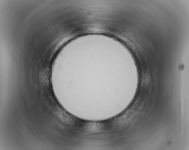 X0000099311314200805161403