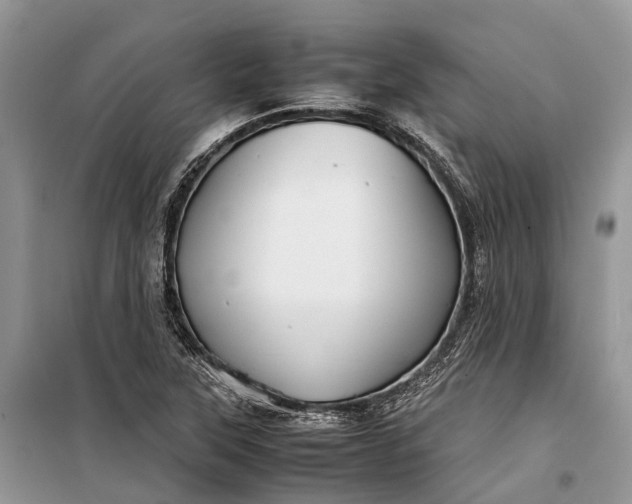 X0000099311315200805161403