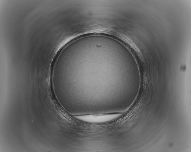 X0000099311316200805161403