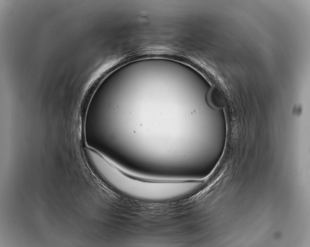 X0000099311317200805161403