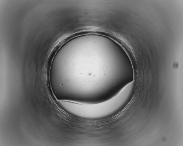 X0000099311318200805161403