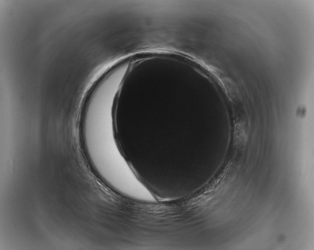 X0000099311319200805161403