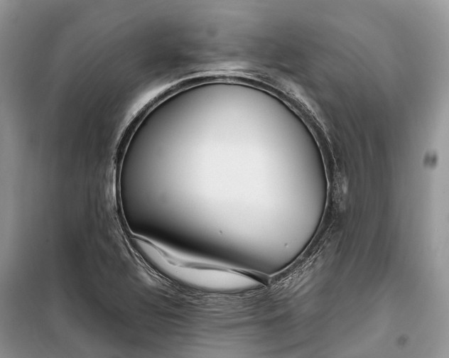 X0000099311320200805161403