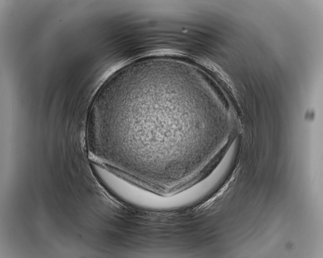 X0000099311321200805161403