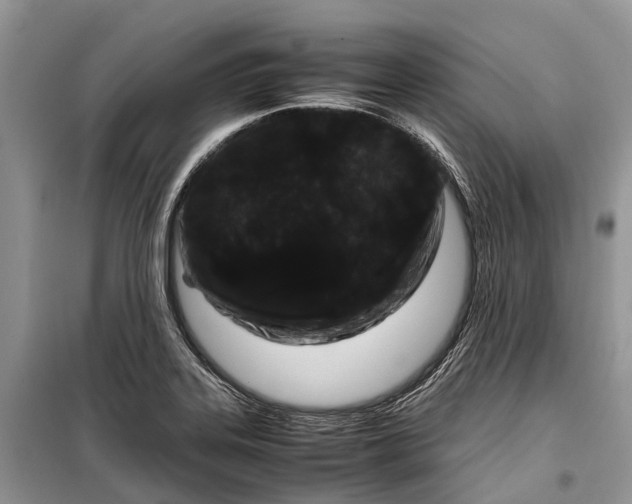 X0000099311323200805161403