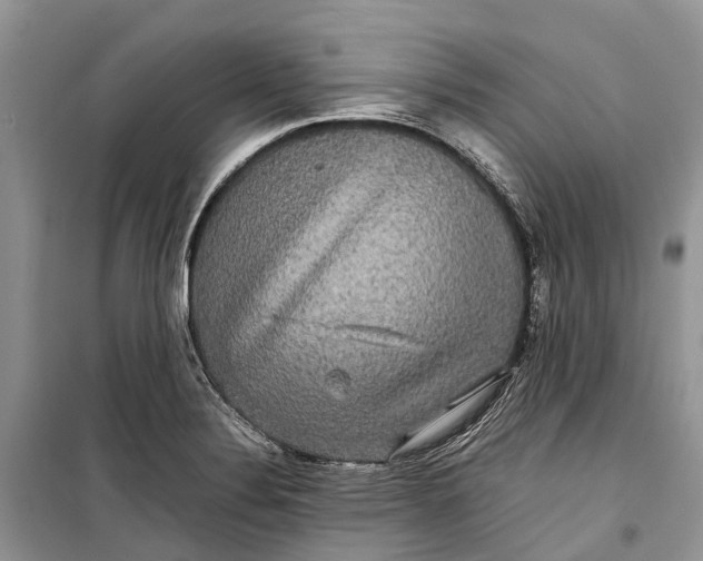 X0000099311324200805161403