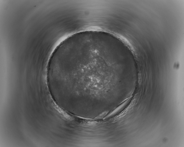 X0000099311326200805161403