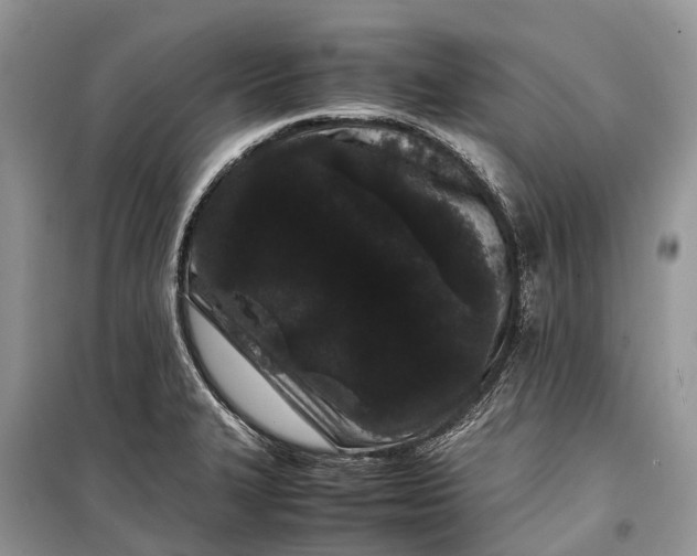 X0000099311327200805161403