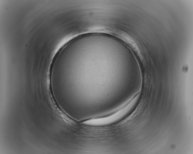 X0000099311328200805161403