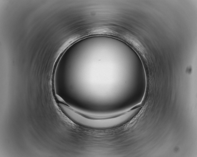 X0000099311330200805161403