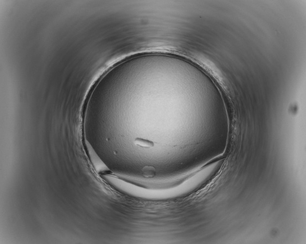 X0000099311332200805161404