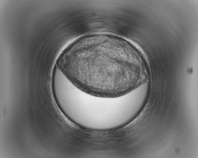 X0000099311333200805161404