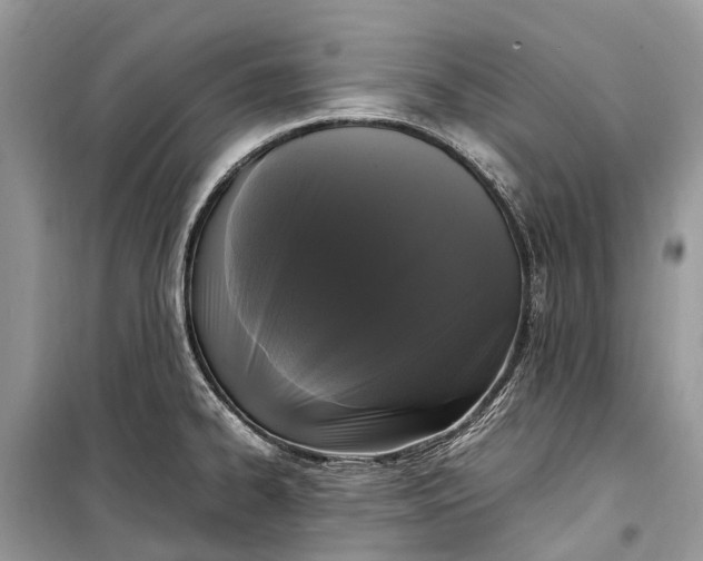 X0000099311334200805161404