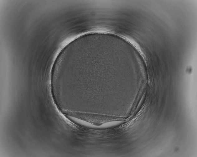 X0000099311335200805161404