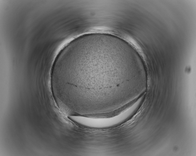 X0000099311336200805161404