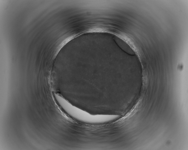 X0000099311337200805161404