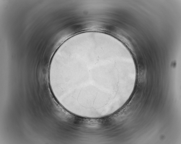 X0000099311338200805161404