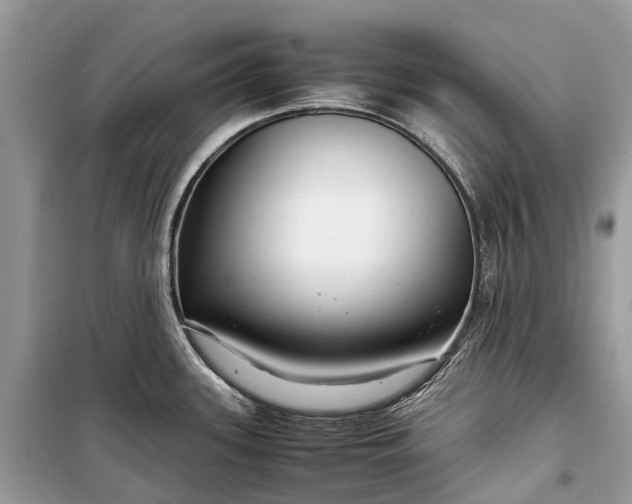 X0000099311339200805161404