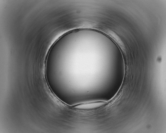 X0000099311340200805161404