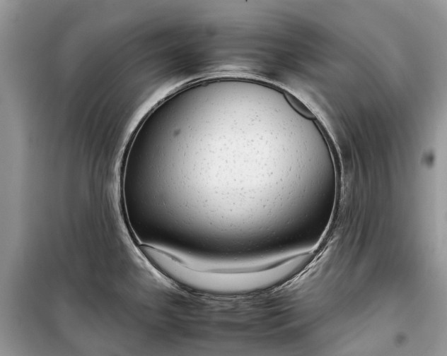 X0000099311341200805161404